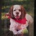 Terri Archer - Facebook