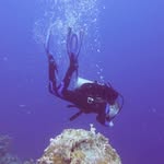 Teri Barber Hamilton - @teri_hamilton121402 - Instagram