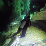 Teri Barrett Staats - @tabstaats - Instagram