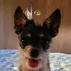 Terri Becker - @terri.becker1 - TikTok