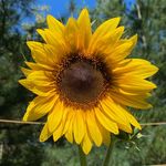 Teri Blank - @tblank440 - Instagram