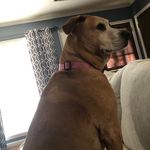 Brian Teri Britt - @brianteribritt - Instagram