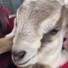 teriburke71 - @teriburke71 - TikTok