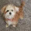 Terri Burke - @terri.burke1 - TikTok