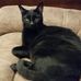 Terri Burt - Facebook