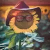 teriburton9835 - @teriburton9835 - TikTok