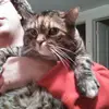 teriburton - @teriburton - TikTok