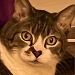 Terri Cantrell - @terricantrell1955 - Instagram