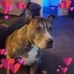 Teresa Chadwick - Facebook