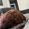 Teri Chadwick - @teri.chadwick - TikTok