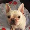 Teri Loftin-Cobb936 - @loftin60 - TikTok