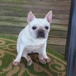 Teri Loftin-Cobb - @teriannloftin - Instagram