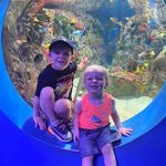 Teri Gosewehr Conner - @terigosewehrc - Instagram