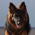 Teri Cotter - @cotterteri - Instagram