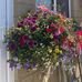 Terri Cotter - Facebook