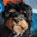 Teri Palmer-Covington - Facebook