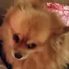 Teri Cox - @tericox1 - TikTok