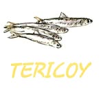 TERICOY - @teri_coy - Instagram