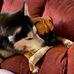 Teri Cunningham - Facebook