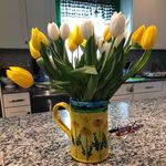 Teri Curry - @tlcpit1 - Instagram