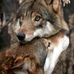 Teri Davy - Facebook