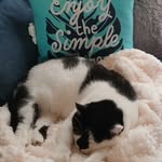 Teri Davy - @mneeyore2 - Instagram