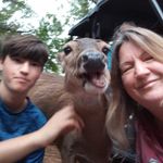 Teri Dodge - @teridodge - Instagram