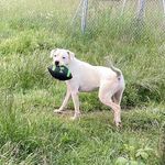Terri Dodge Kessack - @nuasgrandma3 - Instagram