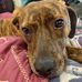 Terry Dawson - Facebook