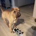 Teri Duncan - Facebook