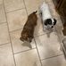 Teri Duncan - Facebook