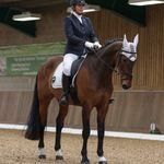 Teri Freeman - @brucealmighty_dressage - Instagram
