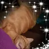 Terilyn Gary - @terilyngary - TikTok