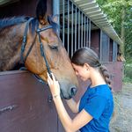 Teri Gibson - @teri_gibson_ecpe - Instagram
