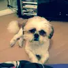 Teri-Leigh Gibson - @gib87 - TikTok