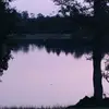 Teri Glenn Parks - @tparkd - TikTok