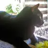 Terri Glover971 - @owlmail717 - TikTok