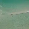 Terri Glover - @glovers.palms - TikTok