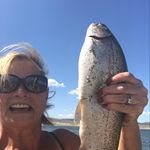 Teri Graham - @beltteri - Instagram