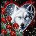 Teri Gregory - Facebook