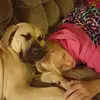 Teri Hanson-Ibach - @terihansonibach - TikTok