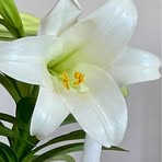 Terri Hatfield - Facebook
