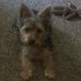 Terri Heath - Facebook