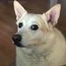 Terri Hoffman - Facebook