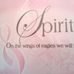 Teri Holt - Facebook