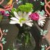 Terry Holtz - Facebook