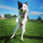 Jackie - @teri_jackie - Instagram