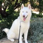 Teri Walker Keller - @teri_walker_keller - Instagram