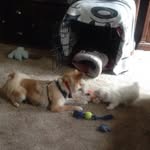 Terry J Knollhoff - @terryjknollhoff - Instagram