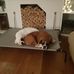 Terri Kopp - Facebook